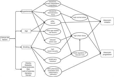 Risk factors and predictive indicators of rupture in cerebral aneurysms